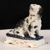 Black and White Dog on Base