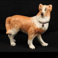 Collie