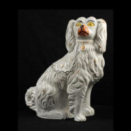 White Dog with Separated Leg