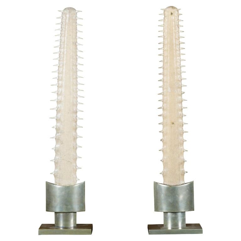 Signed Anthony Redmile Sawfish Decorative Objects Mounted on Brass Bases, 1970s