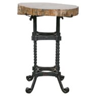 Turn of the Century French Side Table - Petrified Wood Top and Wrought Iron Base