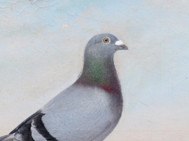Belgian Oil Painting of Racing Pigeons with Competition Records, Signed Fraiture - Image 2